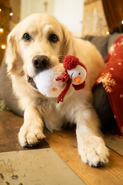 Petface Storm Snowman