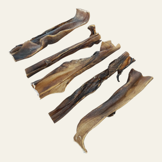 Camel Stick Medium