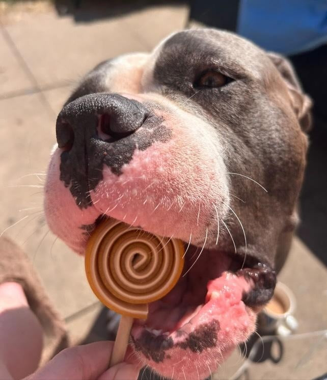 Veggie Lollipop
