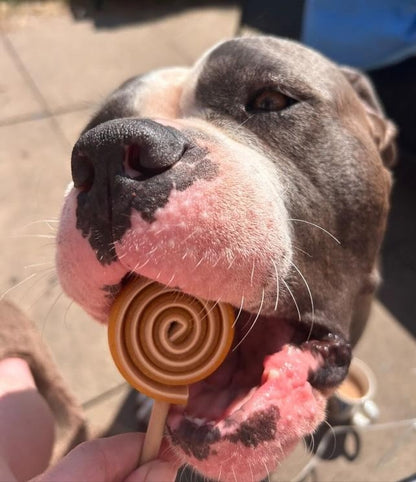Veggie Lollipop