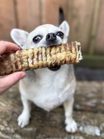 Beef Trachea 20cm
