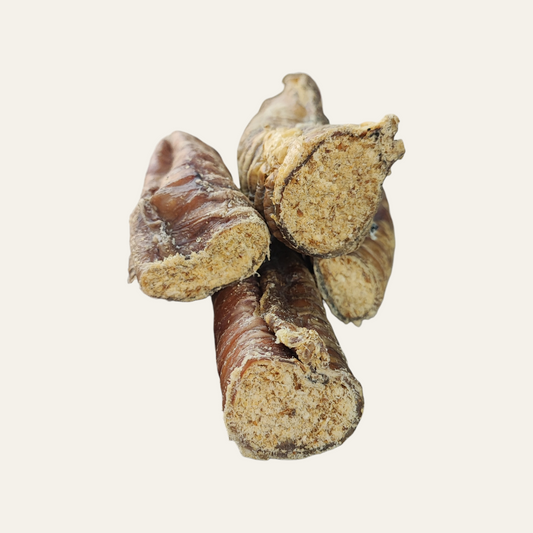 Collagen Filled Beef Trachea