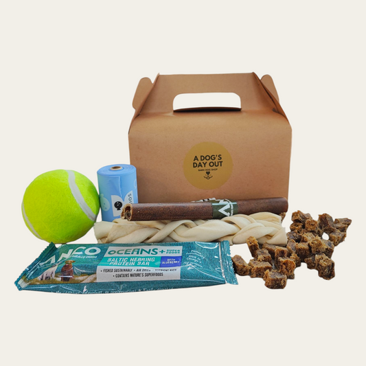 A Dogs Day Out Box