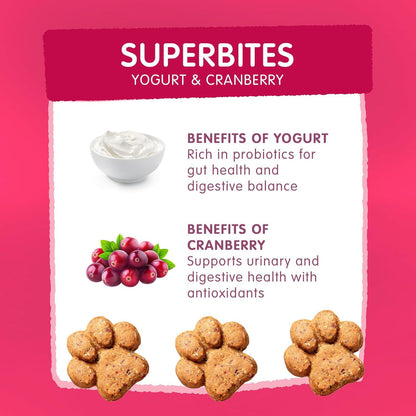 Frozzys Superbites| Yogurt and Cranberry